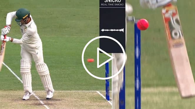 [Watch] Alex Carey Gets 'Lucky' As Bails Don't Fall Despite Ball Hitting Stumps In Pink-Ball Test